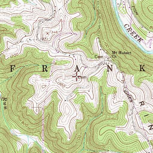 Topographic Map of Rine-Yoho Cemetery, WV