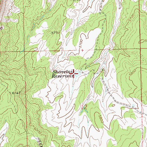 Topographic Map of Shavetail Reservoir, CO