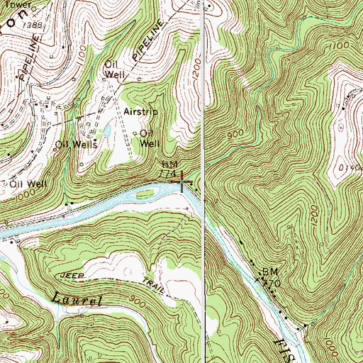 Topographic Map of Big Run, WV