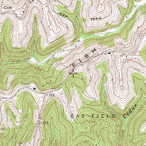 Topographic Map of Fish School (historical), WV