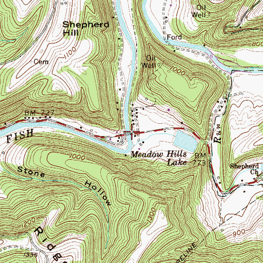 Topographic Map of Shephards Bridge, WV