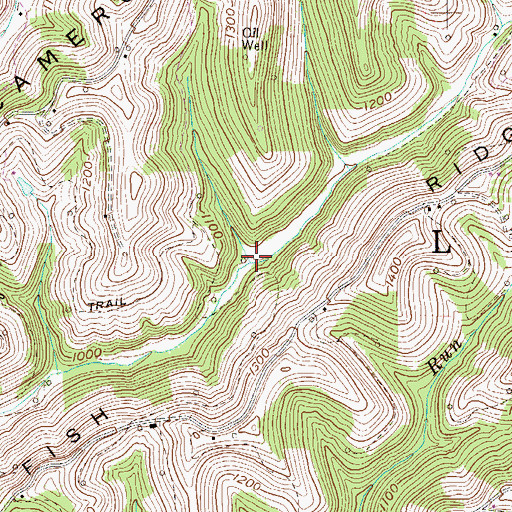 Topographic Map of Wells (historical), WV