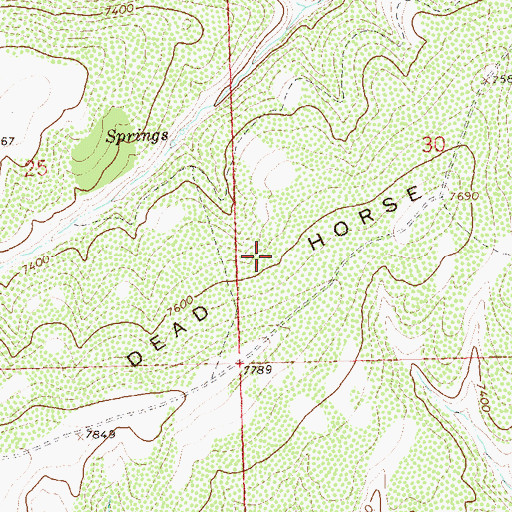 Topographic Map of Dead Horse Ridge, CO