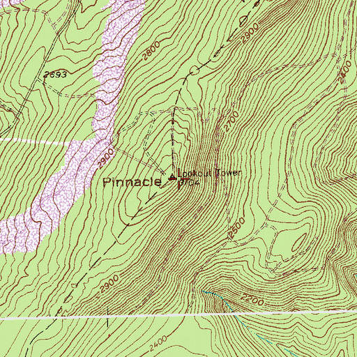 Topographic Map of Pinnacle Lookout Tower, WV