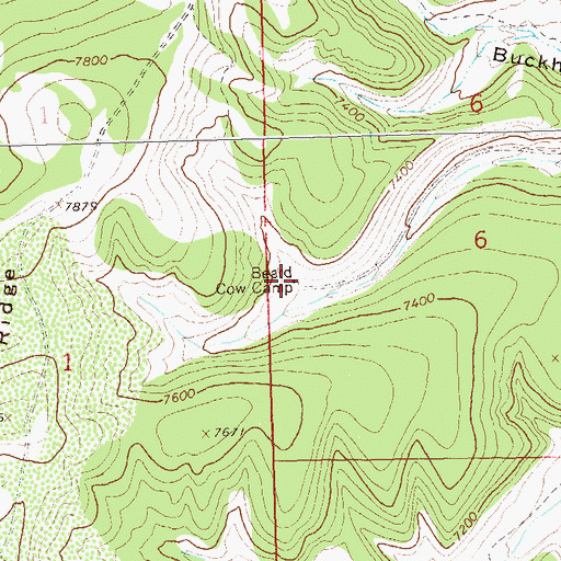 Topographic Map of Beard Cow Camp, CO