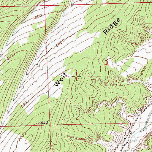 Topographic Map of Wolf Ridge, CO