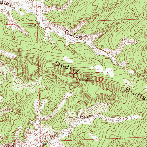 Topographic Map of Dudley Bluffs, CO