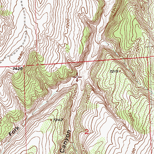 Topographic Map of West Fork Dark Canyon, CO