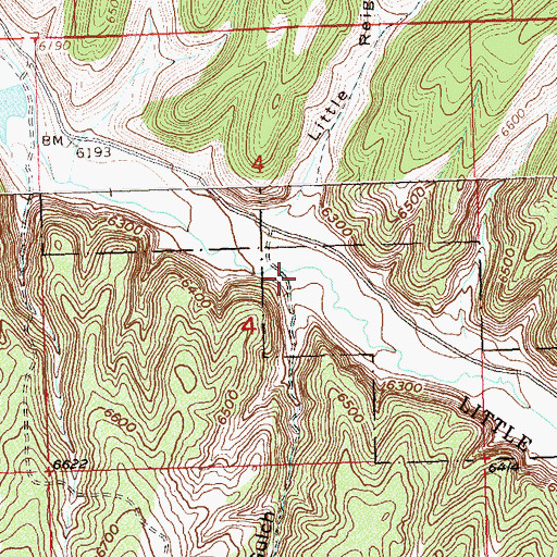 Topographic Map of Reigan Gulch, CO