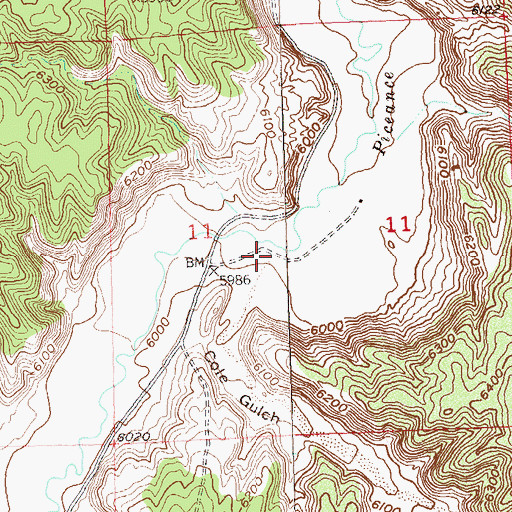 Topographic Map of Cole Gulch, CO