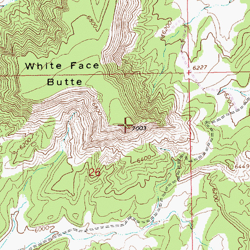 Topographic Map of White Face Butte, CO
