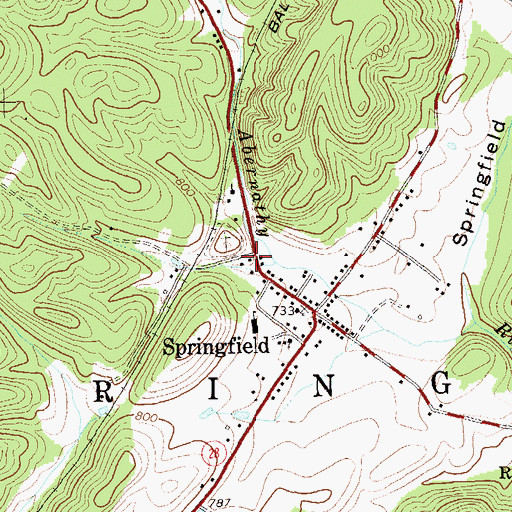 Topographic Map of Springfield Post Office, WV