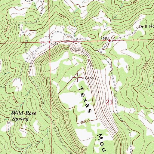 Topographic Map of Texas Mountain, CO