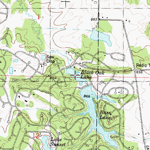 Topographic Map of Black Oak Lake, IL