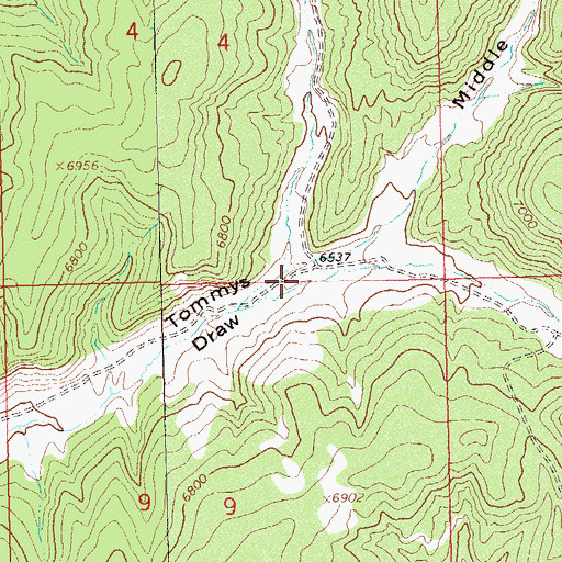 Topographic Map of Right Fork Tommys Draw, CO