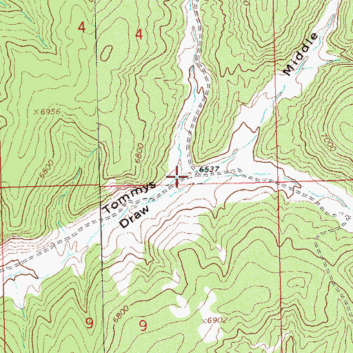 Topographic Map of Left Fork Tommys Draw, CO