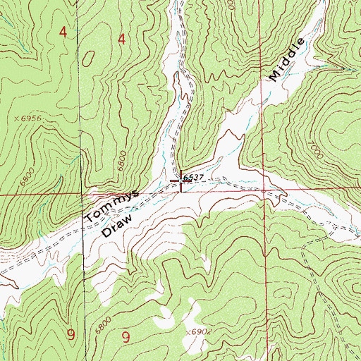Topographic Map of Middle Fork Tommys Draw, CO
