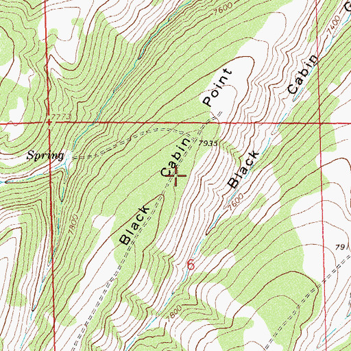 Topographic Map of Black Cabin Point, CO