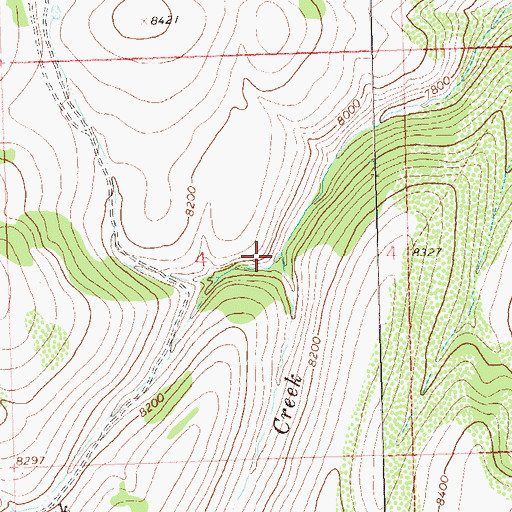 Topographic Map of Right Fork Canyon Creek, CO