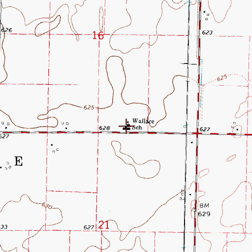 Topographic Map of Wallace Elementary School, IL