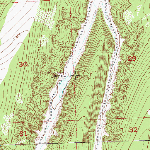 Topographic Map of Redd Cow Camp, CO