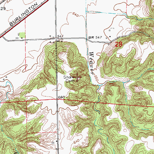 Topographic Map of Shaw Cemetery, IL