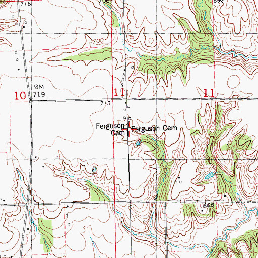 Topographic Map of Ferguson Cemetery, IL