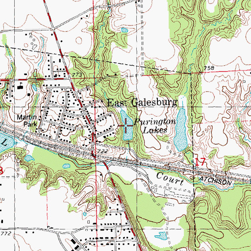 Topographic Map of Purington Lakes, IL