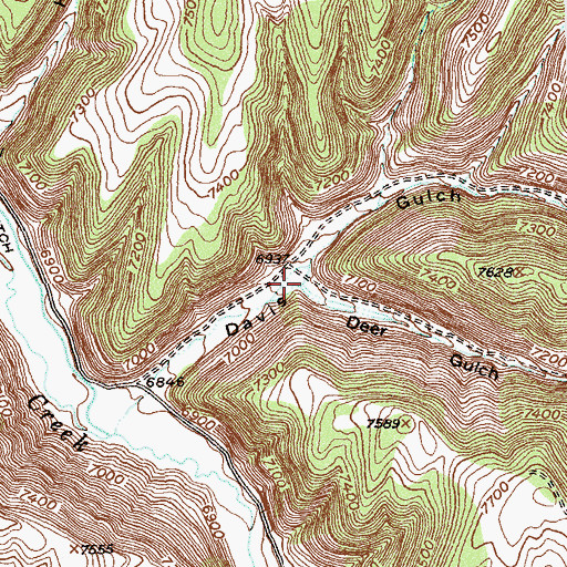 Topographic Map of Deer Gulch, CO