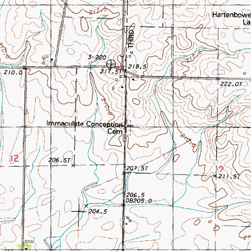 Topographic Map of Immaculate Conception Cemetery, IL