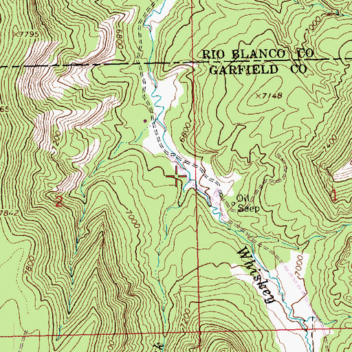 Topographic Map of Little Whiskey Creek, CO