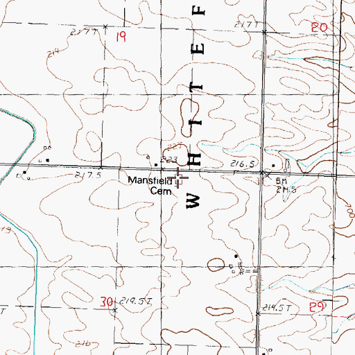 Topographic Map of Mansfield Cemetery, IL