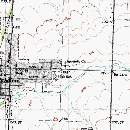 Topographic Map of Apostolic Christian Church, IL