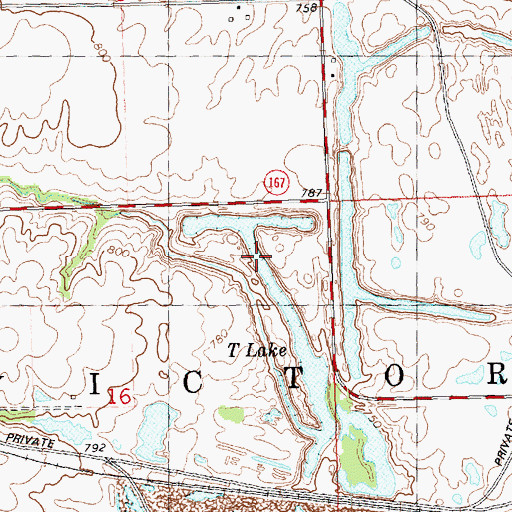 Topographic Map of T Lake, IL