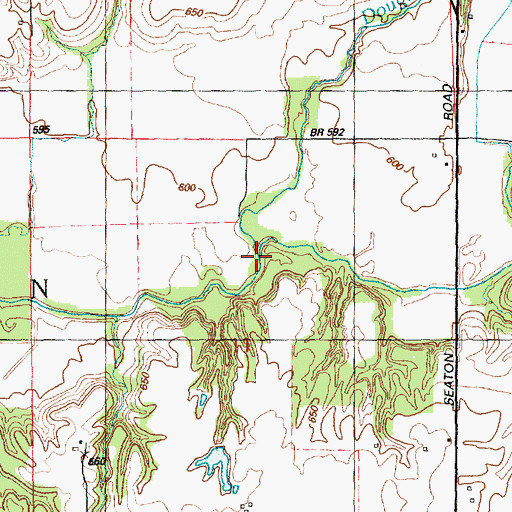 Topographic Map of Douglas Creek, IL