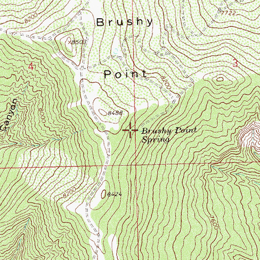 Topographic Map of Brushy Point Spring, CO