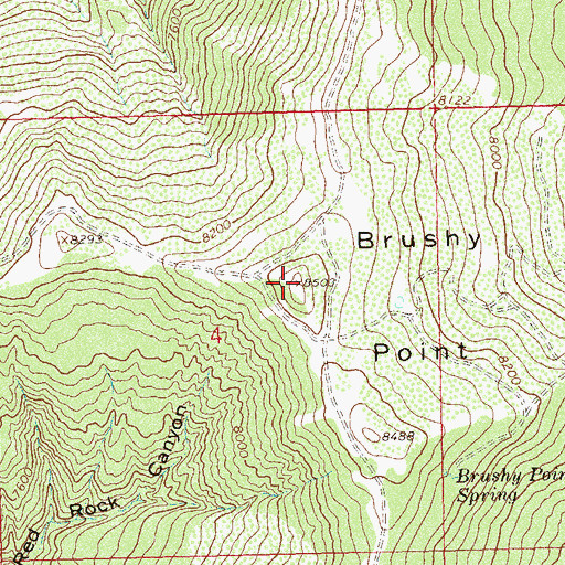 Topographic Map of Brushy Point, CO