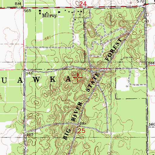Topographic Map of Big River State Forest, IL