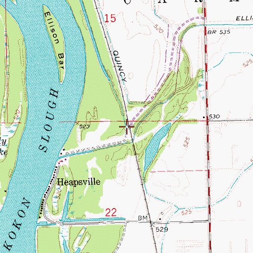 Topographic Map of Silver Lake (historical), IL