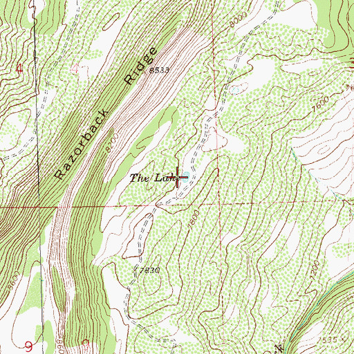 Topographic Map of The Lake, CO