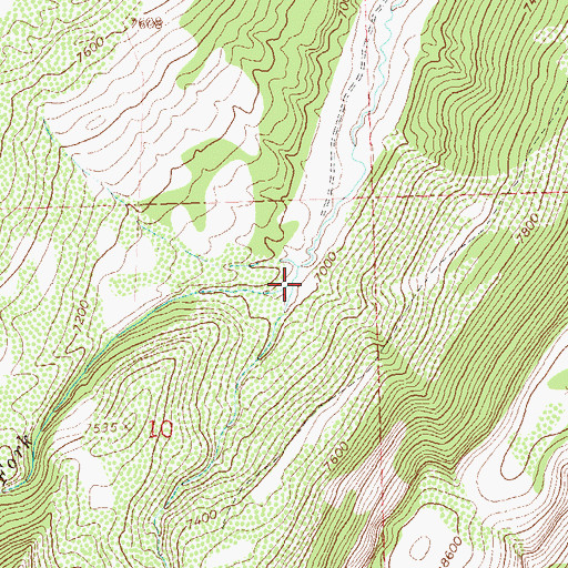 Topographic Map of Left Fork Lake Creek, CO