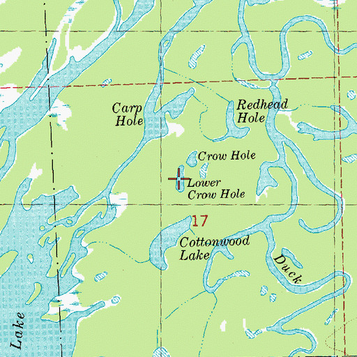 Topographic Map of Lower Crow Hole, IL