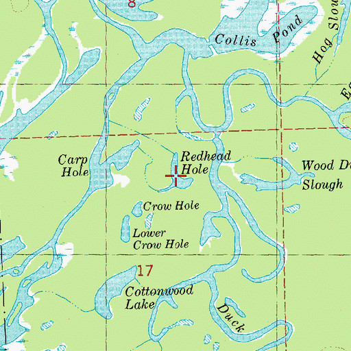Topographic Map of Redhead Lake, IL