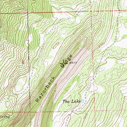 Topographic Map of Razorback Ridge, CO