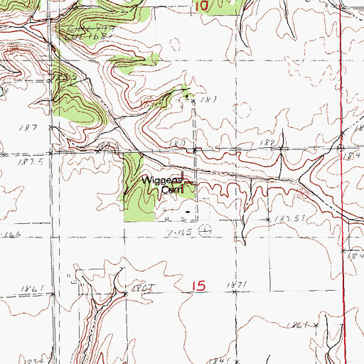 Topographic Map of Wiggens Cemetery, IL