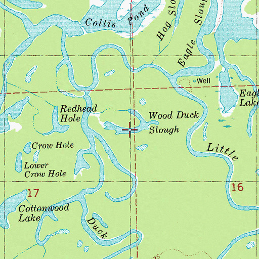 Topographic Map of Wood Duck Slough, IL