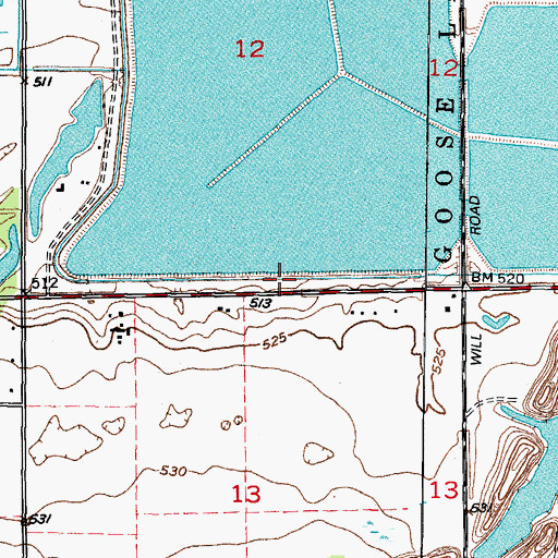 Topographic Map of Goose Lake School (historical), IL
