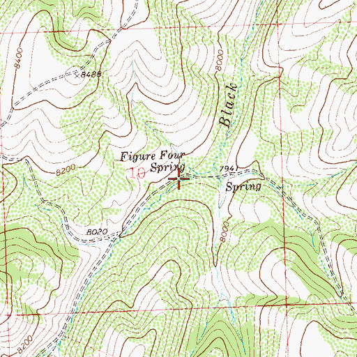 Topographic Map of Figure Four Spring, CO