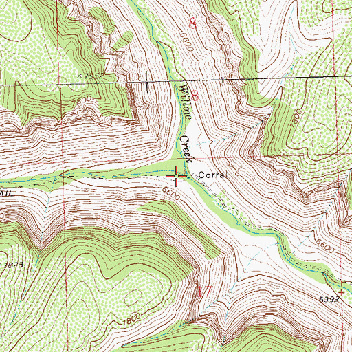 Topographic Map of Willow Creek, CO