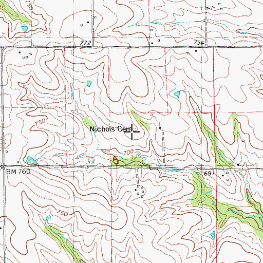 Topographic Map of Nichols Family Cemetery, IL